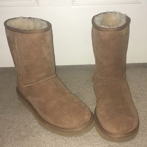 SHORT CLASSIC CHESTNUT UGGS (like brand new)
